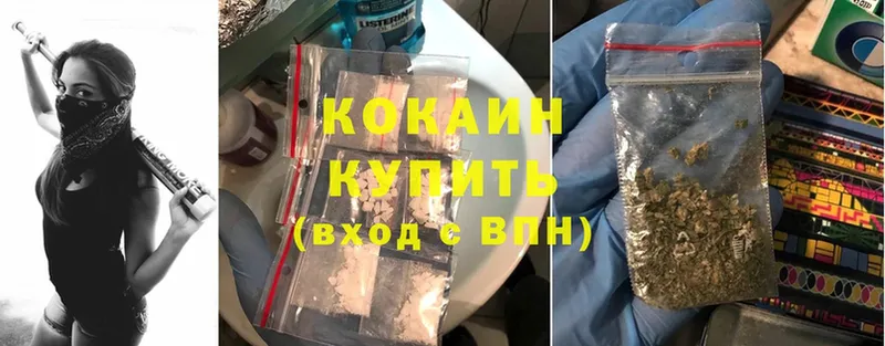 COCAIN Fish Scale  купить   Волжск 